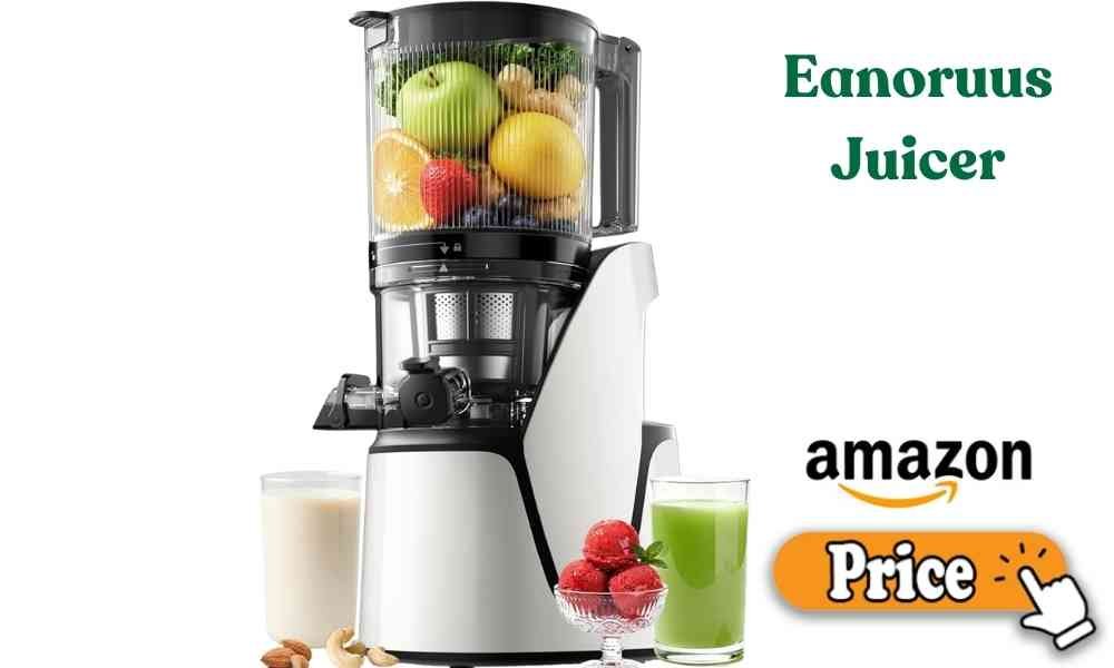 Eanoruus Juicer price