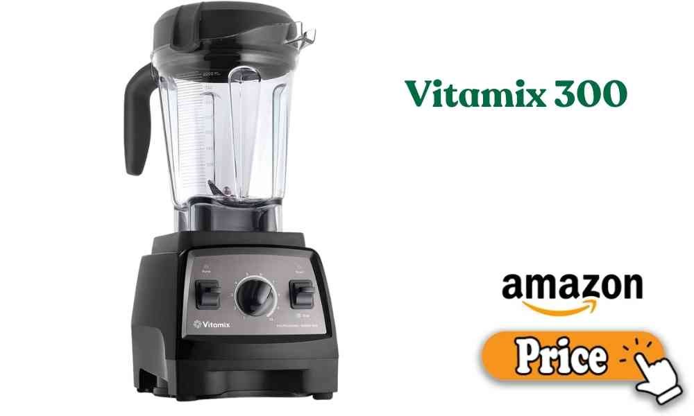 Vitamix 300 price