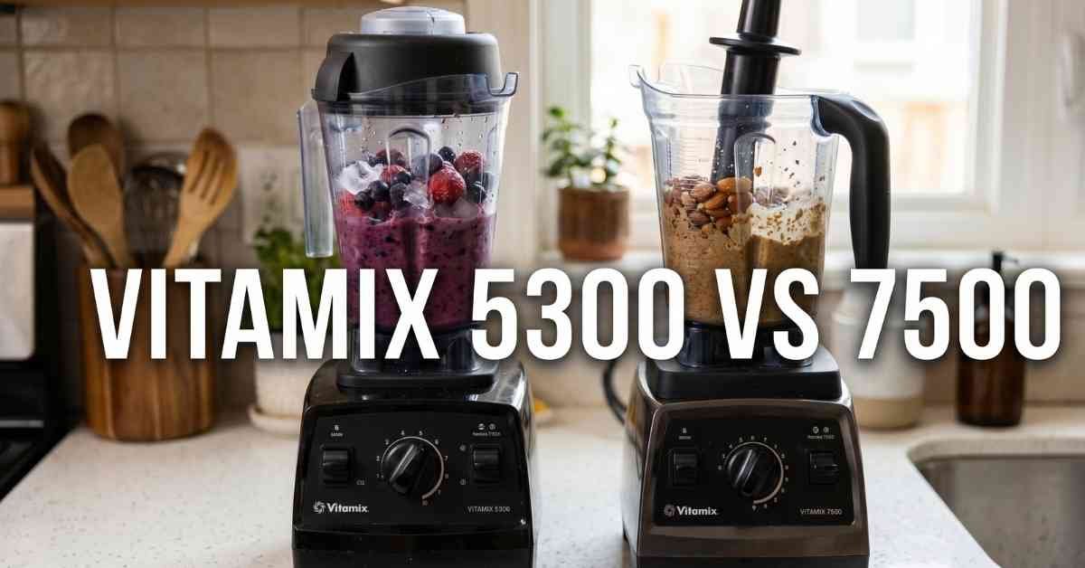 Vitamix 5300 Vs 7500