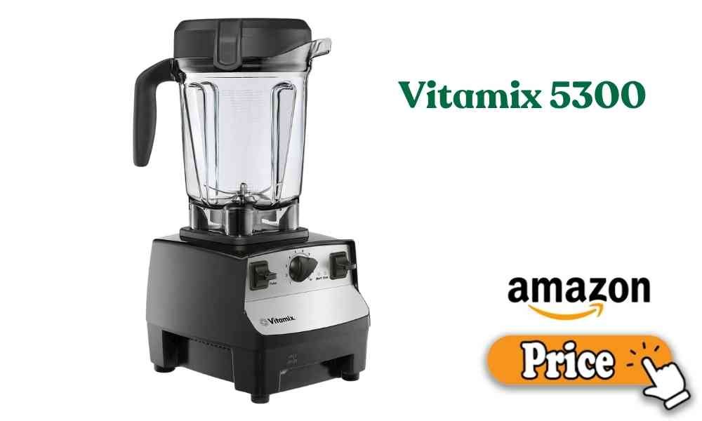 Vitamix 5300 price