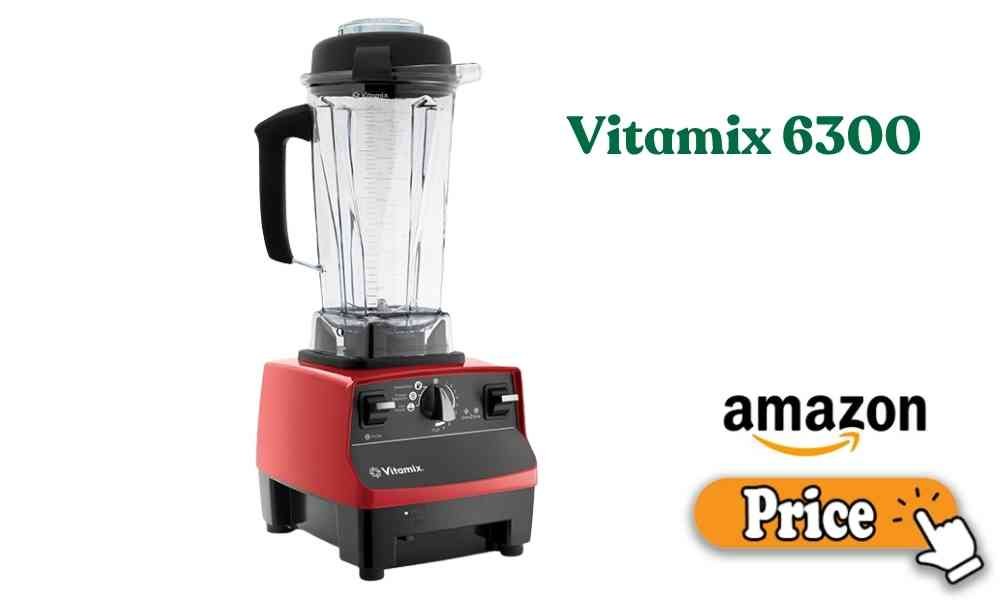 Vitamix 6300 price