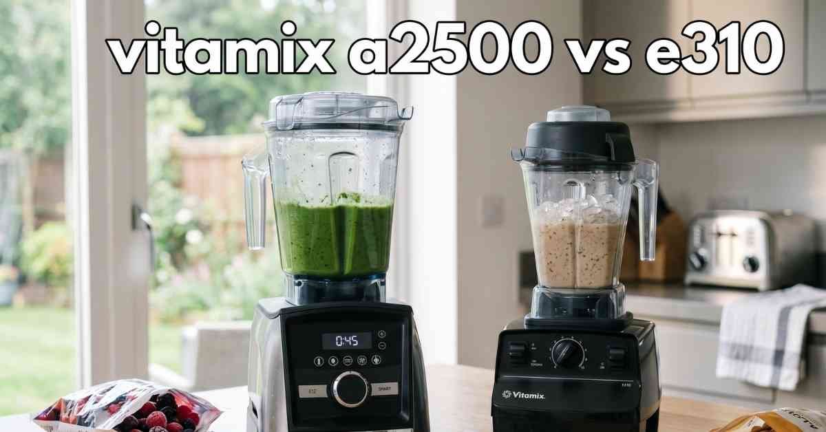 Vitamix A2500 Vs E310 Real Results After Daily Use