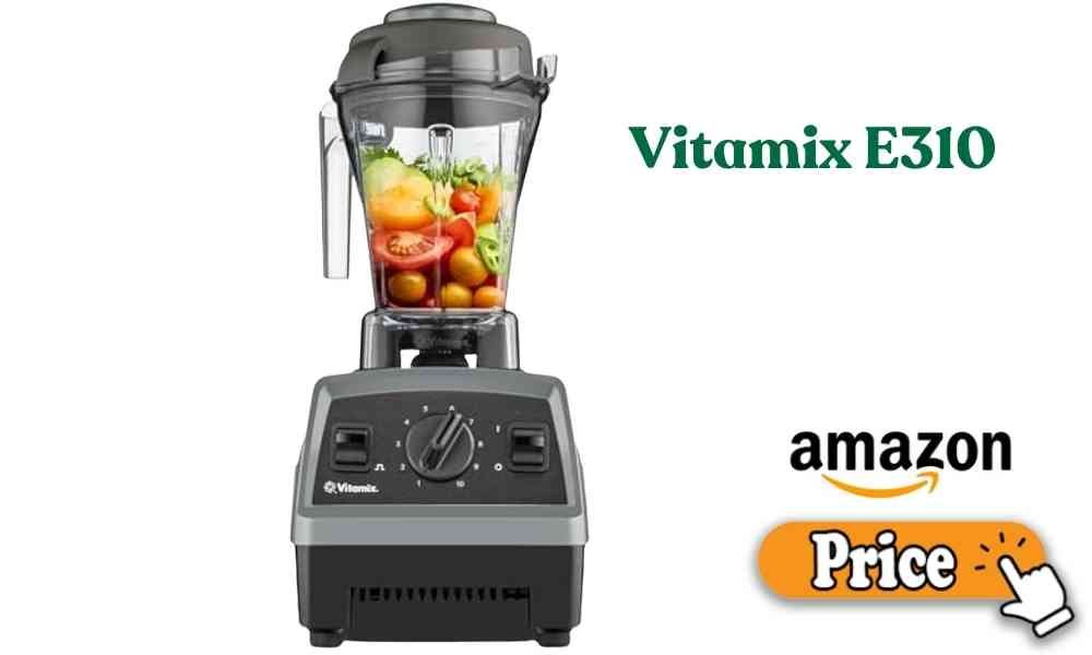 Vitamix E310 price