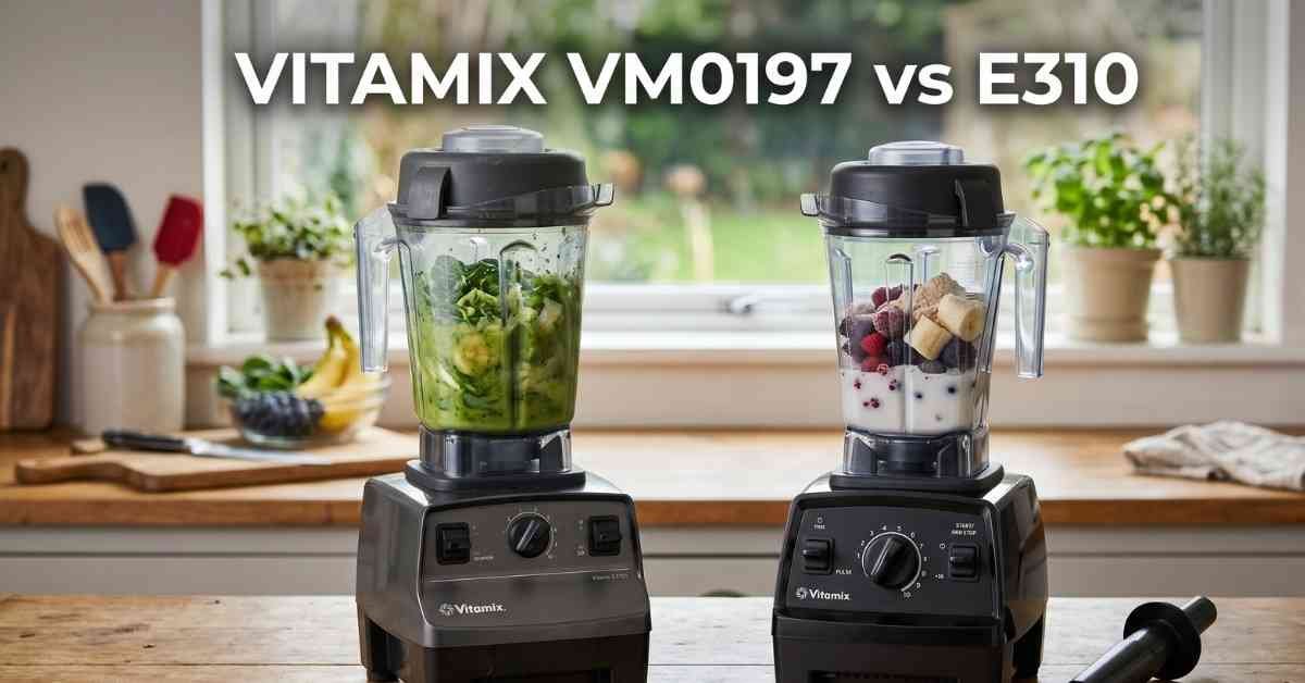 Vitamix VM0197 Vs E310