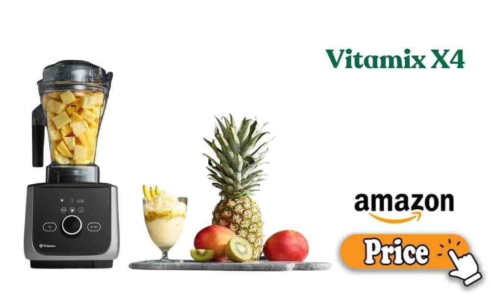 Vitamix X4 price