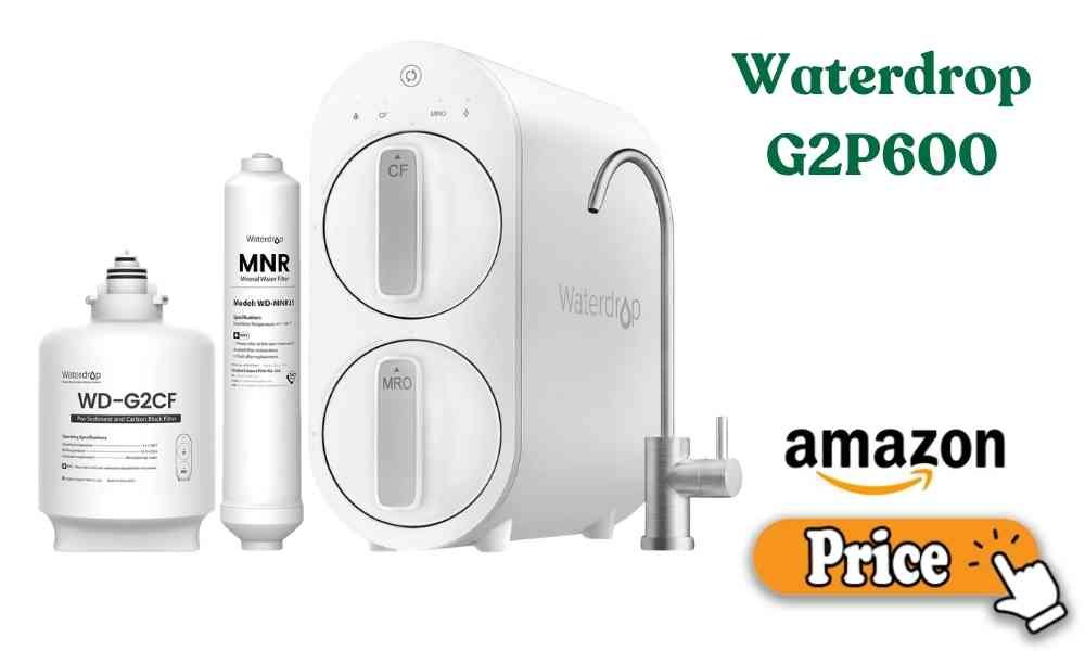 Waterdrop G2P600 Price