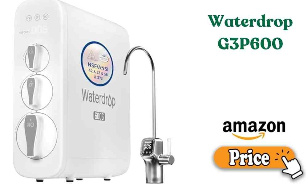 Waterdrop G3P600 Price
