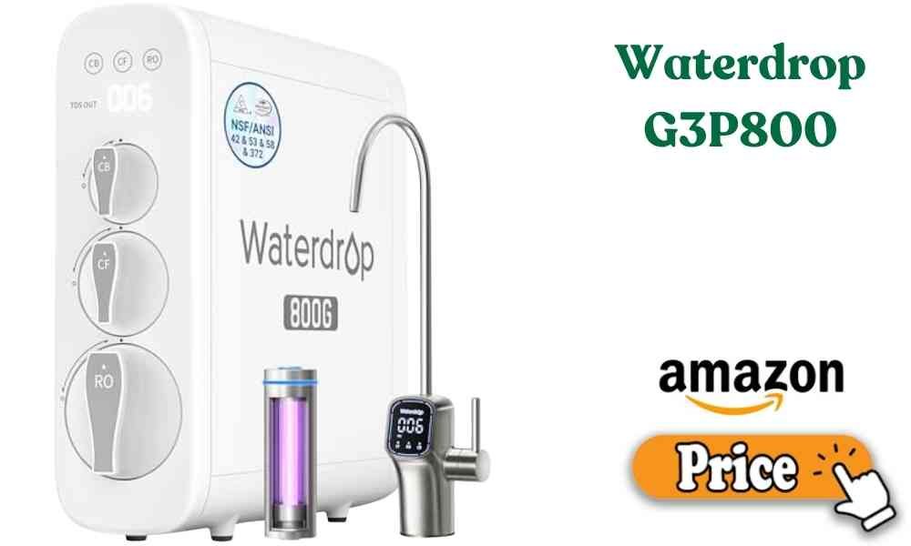 Waterdrop G3P800 Price