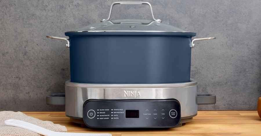 Ninja MC1101 Review