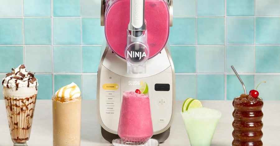 Ninja FS601BR Review