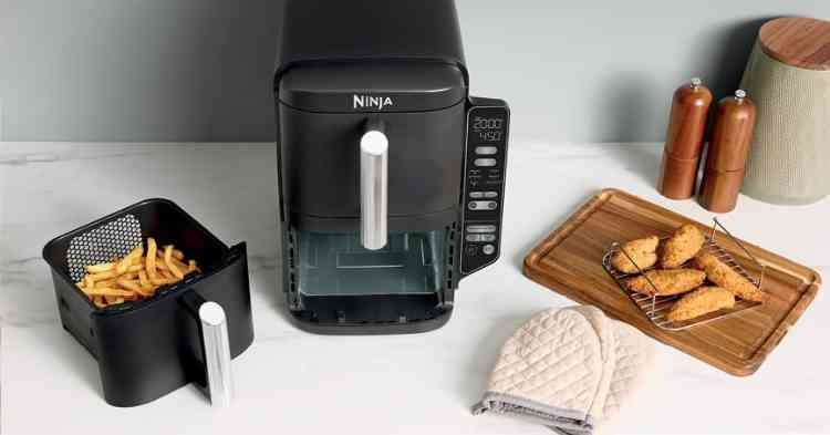 Ninja SL201 Review