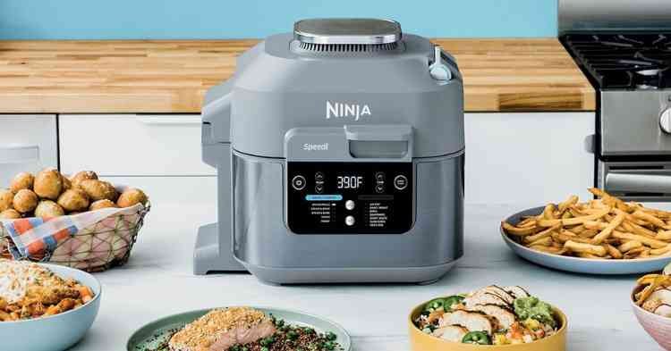 Ninja SF301 Review