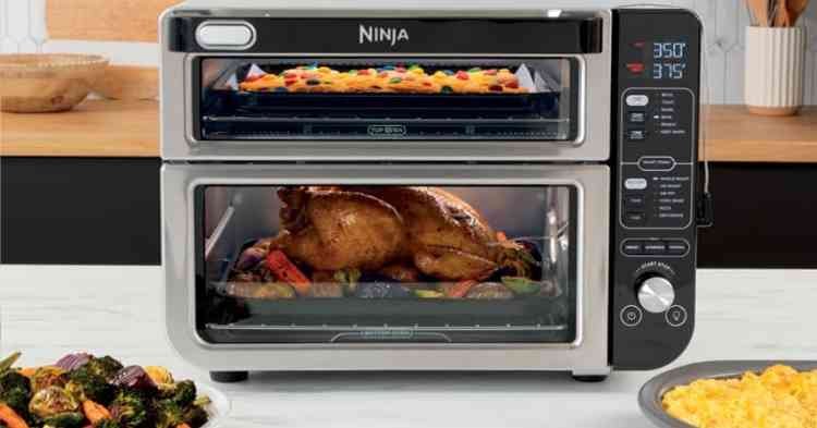 Ninja DCT451 Review