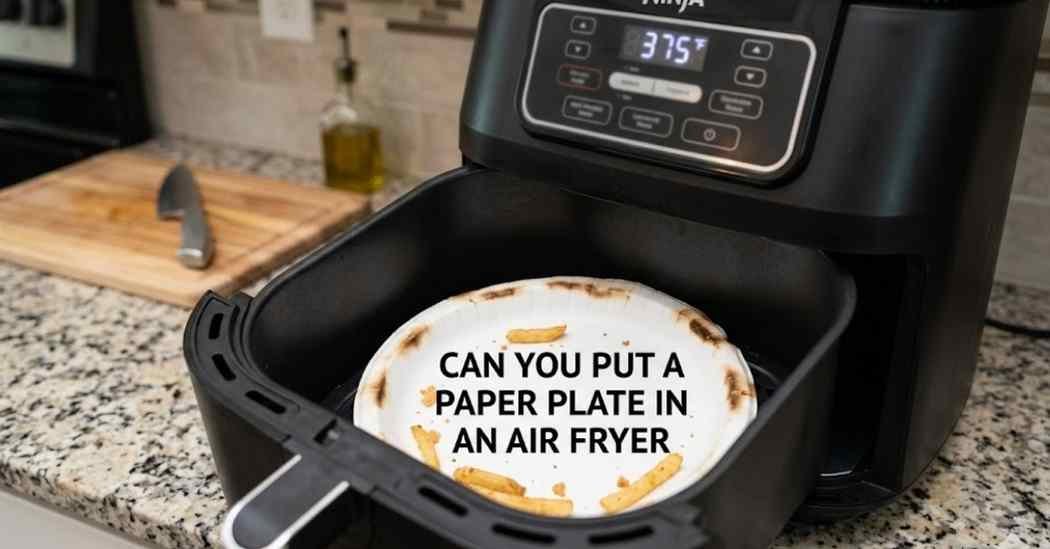 Can you put a paper plate in an air fryer