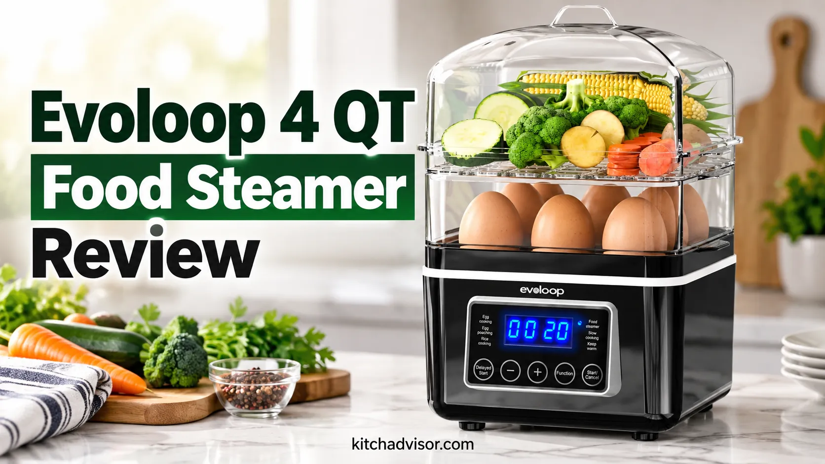 Evoloop 4 QT Food Steamer Review