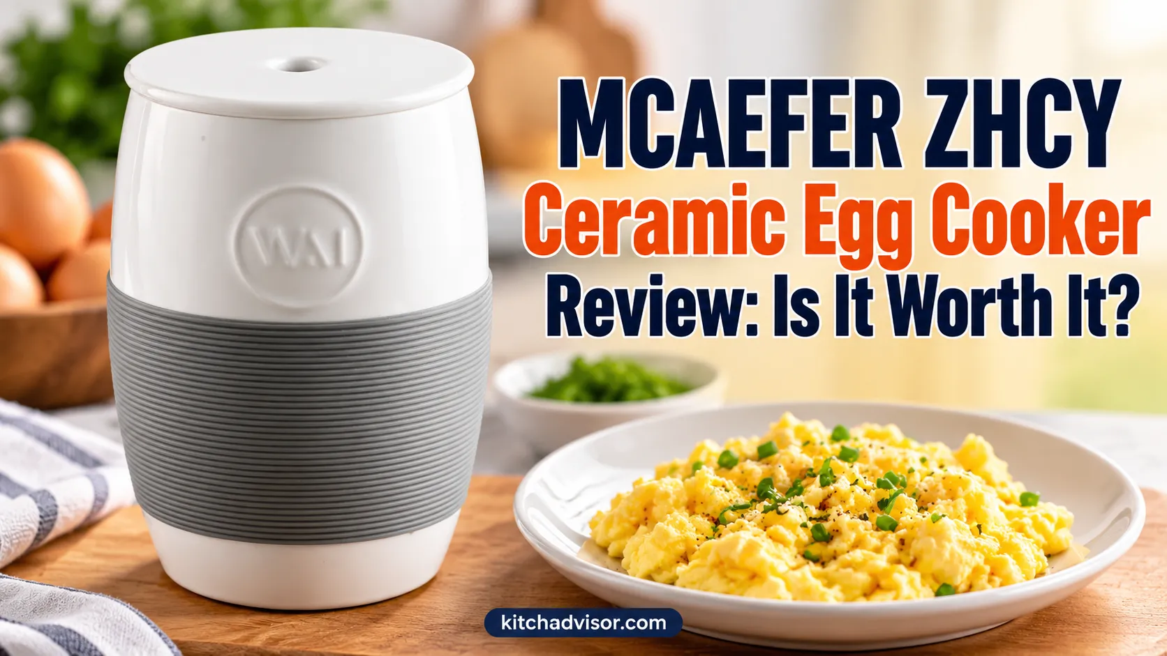 MCAEFER ZHCY Ceramic Egg Cooker Review